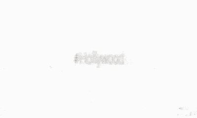 Slide 03