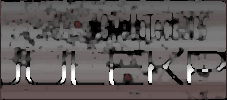 Watermark